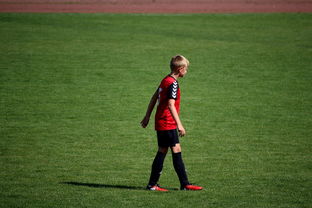 爱游互娱游戏官网-未来足球场馆将融合智能照明和环境监测系统，绿色科技引领行业